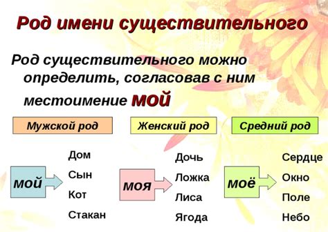 Примеры имен существительных 3 класса с указанием рода