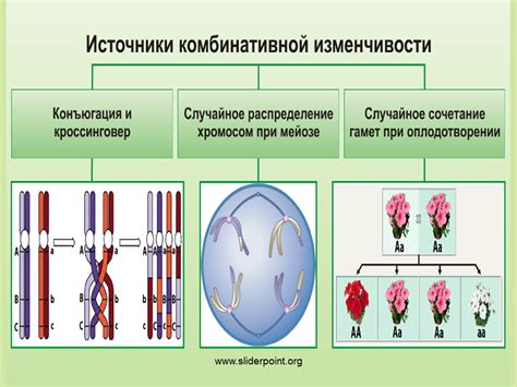 Примеры наследственной субституции в природе