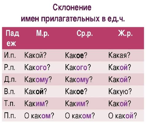 Примеры непостоянных признаков у существительных