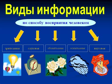 Примеры объективной информации в информатике