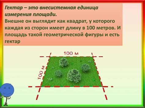 Примеры объектов площадью в 1 гектар