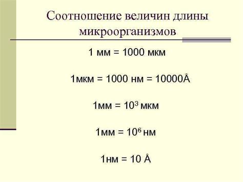 Примеры объектов размером в мкм и нм