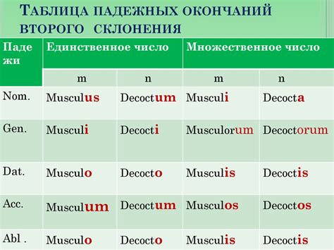 Примеры определяемых слов в латинском языке