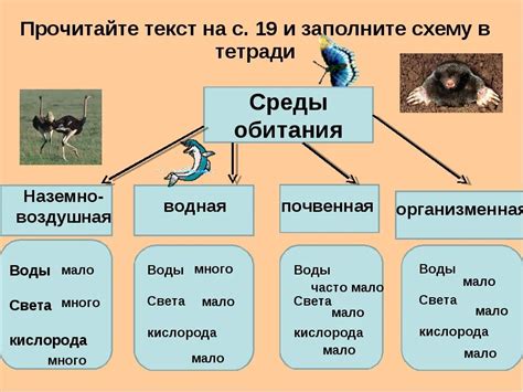 Примеры презентаций по биологии 5 класс