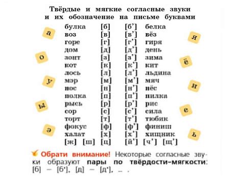 Примеры слов с различными согласными буквами и звуками