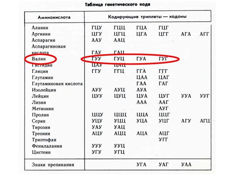 Примеры универсальности генетического кода