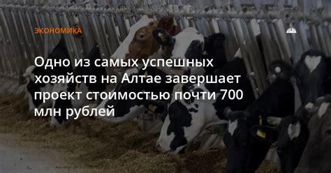 Примеры успешных натуральных хозяйств