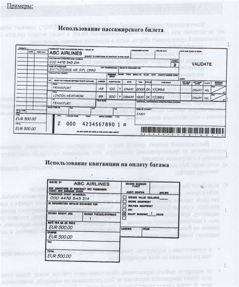 Пример заполнения информации о багаже в авиабилете