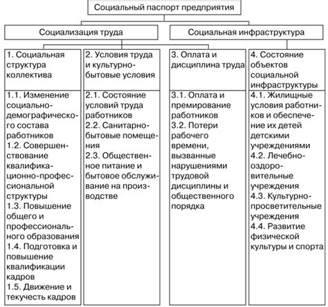 Принципы введения социального паспорта в школах