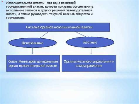 Принципы организации деятельности