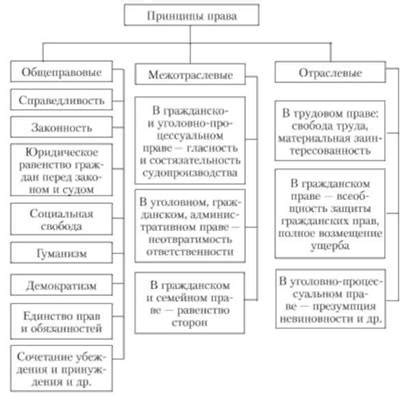 Принципы формулирования юридического закона