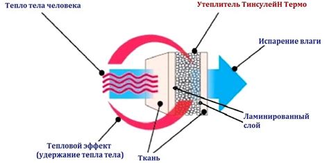 Принцип действия тинсулейт утеплителя
