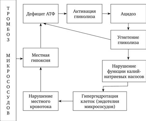 Принцип причинно-следственной связи в патологии