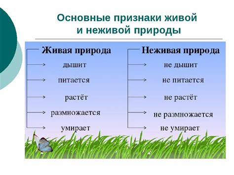 Природа обладает сокровищами и загадками, которые человек постоянно открывает