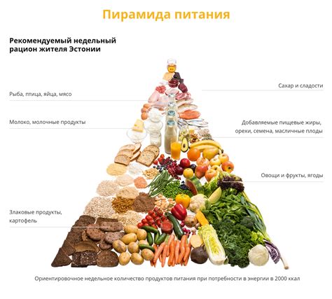 Природная домашняя пища для сфинксов: мясной рацион и органические продукты