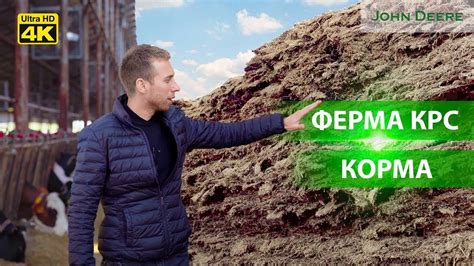 Природные ингредиенты в производстве корма