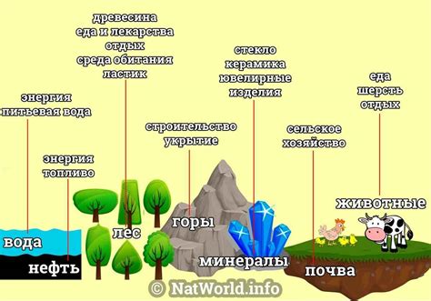 Природные ресурсы и экология