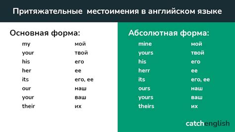 Притяжательные местоимения: различные варианты и способы использования