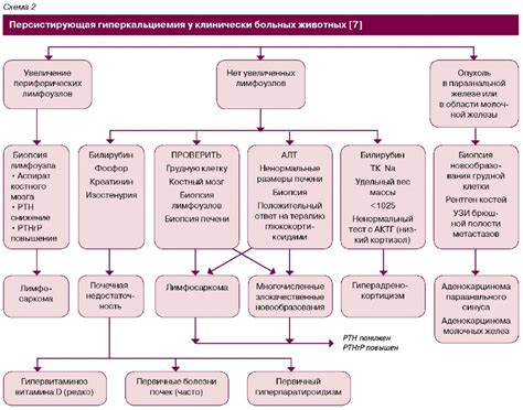 Причины аномальных показателей уровня кальция в крови