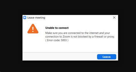 Причины возникновения кода ошибки 5003 в Zoom