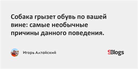 Причины данного поведения