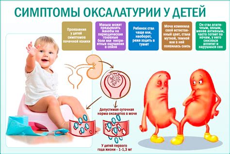 Причины образования оксалатов в кале у ребенка