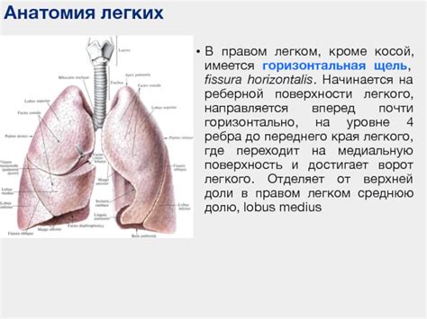 Причины ослабленного дыхания в правом легком