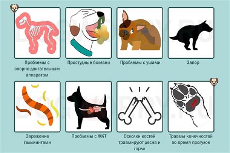 Причины поведения щенка