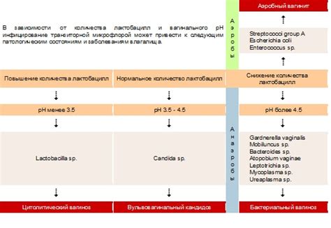 Причины превышения транзиторной микрофлоры