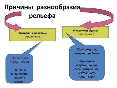 Причины разнообразия объектов