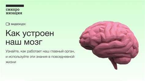 При рутинных действиях наш мозг переходит на автоматическое пилотирование