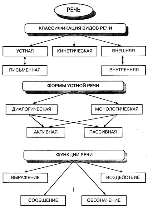 Проанализируем основные органы речи и их роль в коммуникации