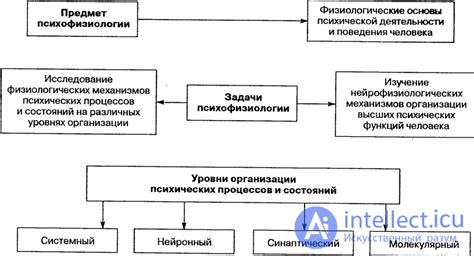 Проблема психофизиологии: понятие и сущность