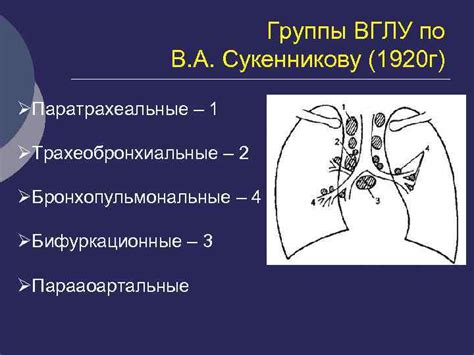 Проблема средостения у людей