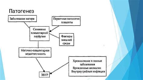 Проблемы внутриутробного развития: