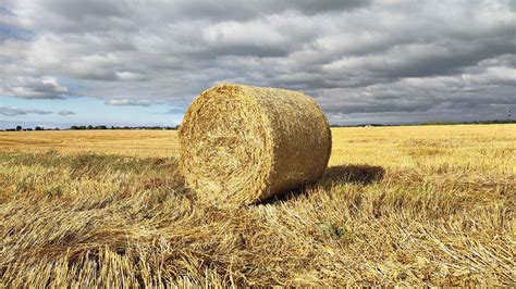 Проблемы сельского хозяйства