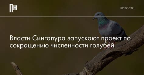 Проблемы с популяцией птиц