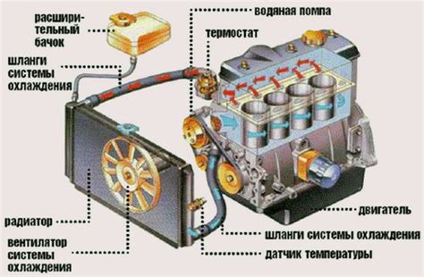 Проверка и чистка системы охлаждения гидроцикла