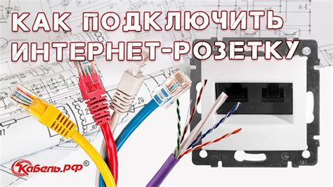 Проверьте сетевой провод и розетку