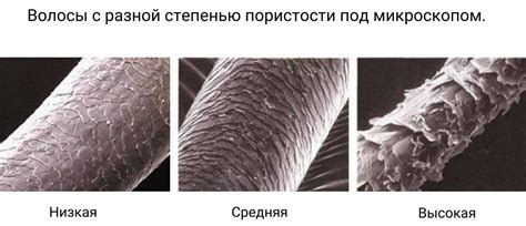 Проверьте степень повреждения когтя