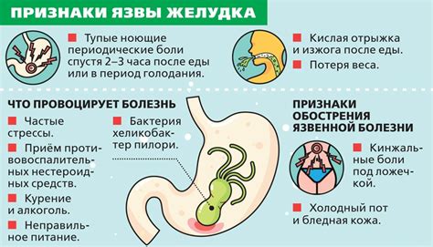 Провокация возникновения язвы желудка