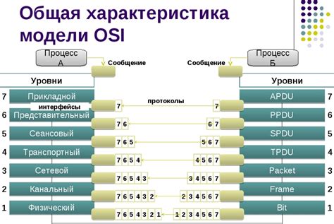 Программное обеспечение: ОС и сетевые протоколы