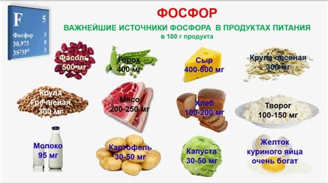 Продукты, богатые фосфором: залог здоровых костей и сердца