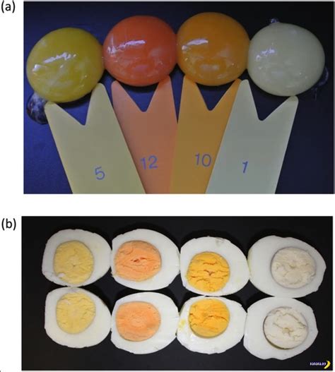 Продукты, которые изменят цвет желтка у несушек