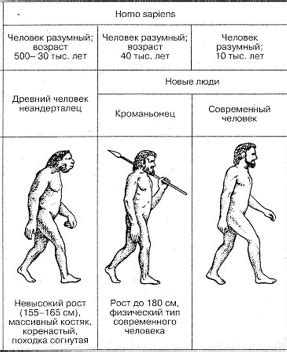 Происхождение и особенности