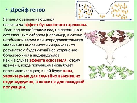 Происхождение и характеристики генов