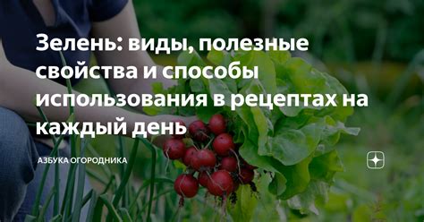 Простота использования в рецептах