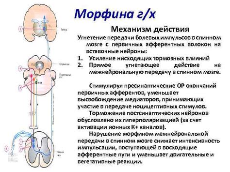 Противоболевые средства