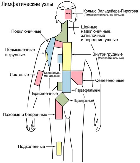 Профилактика внутрилегочного лимфоузла на КТ