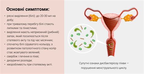 Профилактика нарушений микрофлоры влагалища